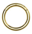14kt Gold Hinged Segment Ring