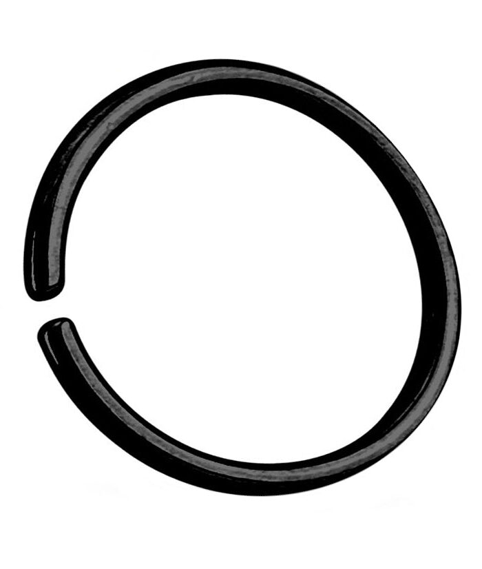 Black PVD Seamless Stainless Steel Hoop Ring