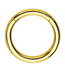 Gold PVD Hinged Stainless Steel Segment Hoop Ring
