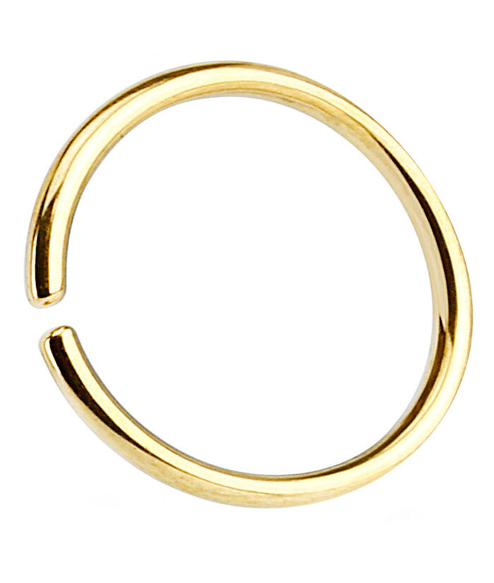 Gold PVD Seamless Stainless Steel Hoop Ring