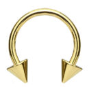 Gold PVD Spike Circular Barbell