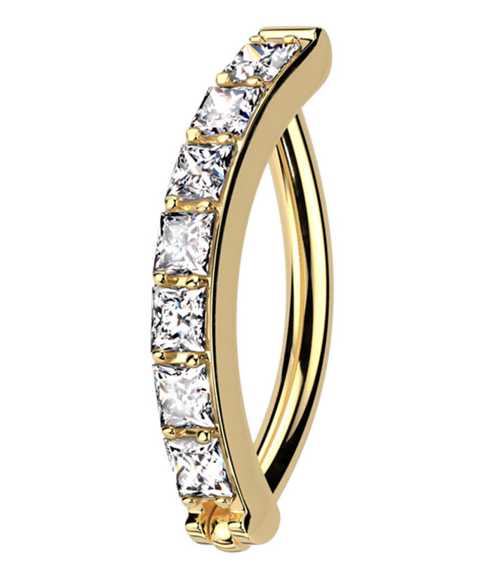 Gold PVD Vertical Clear CZ Titanium Hinged Segment Ring