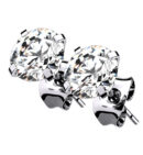 Prong Clear CZ Titanium Earrings