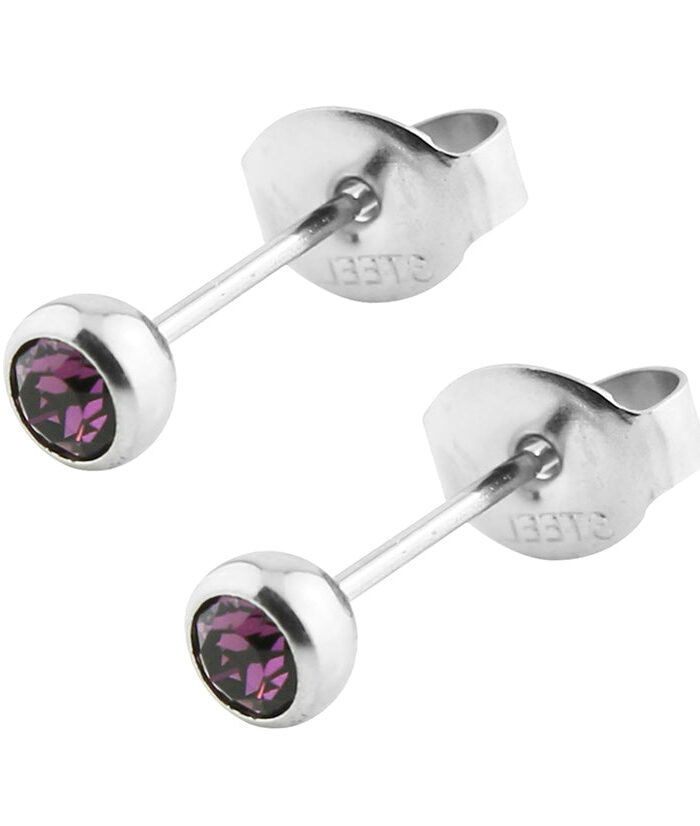 Purple Bezel CZ Stainless Steel Stud Earrings