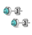 Turquoise Howlite Stone Earrings